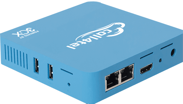 キャネット CS-1000 3CX PBX Appliance, NX32 Lite - Call4tel – CAL4CARE USA LLC